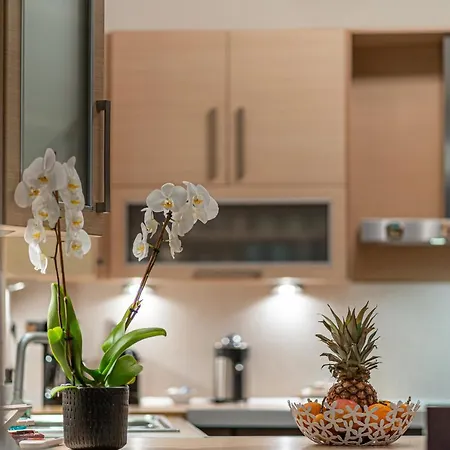 Apartamento Bay View House *